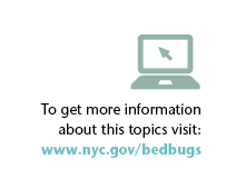 More bedbug info