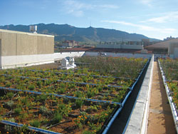 Vegetative Roof: The Garland Co. Inc.