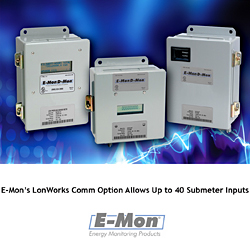 Submeter Communication Option (Option LTP): E-Mon LLC
