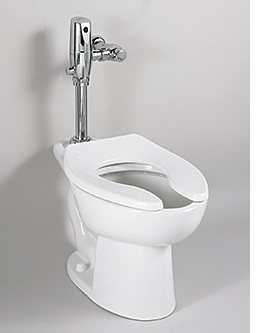 Dual-Flush Toilet: American Standard Brands