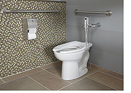 Toilet System: American Standard Brands