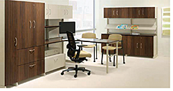 Systems Furniture: The HON Co.