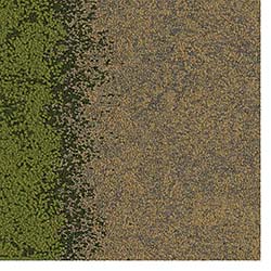 Carpet Tiles: InterfaceFLOR LLC