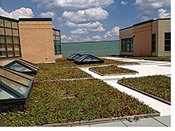 Vegetative Roof: Seaman Corp. - FiberTite Division