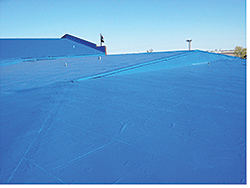 Roofing Membrane: Seaman Corp. - Fibertite Division