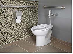 High-Efficiency Toilet: American Standard Brands