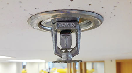The fire sprinkler system is designed to effectively control or